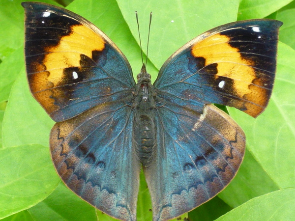 2008.6.2動物園 076.jpg