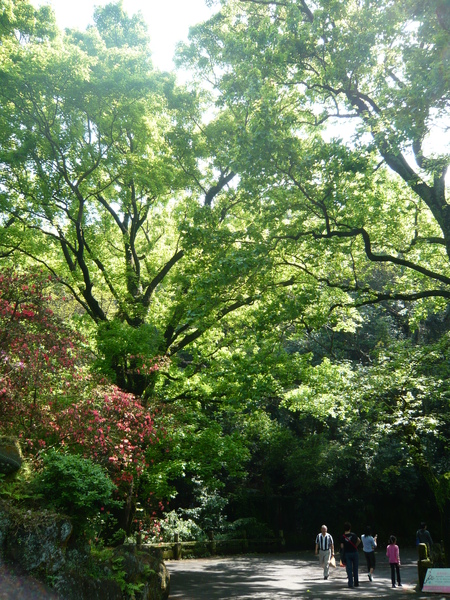 2008.春之大屯自然公園 004.jpg