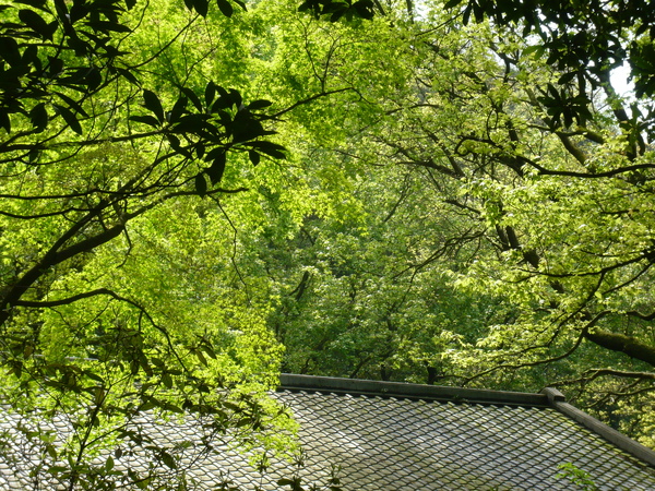 2008.春之大屯自然公園 016.jpg