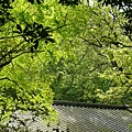 2008.春之大屯自然公園 016.jpg