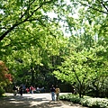 2008.春之大屯自然公園 034.jpg