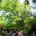 2008.春之大屯自然公園 002.jpg