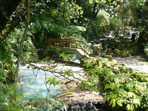 2008.春之大屯自然公園 038.jpg