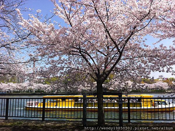 毛馬桜ノ宮公園 (12)