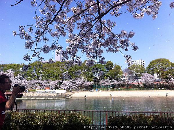 毛馬桜ノ宮公園 (21)