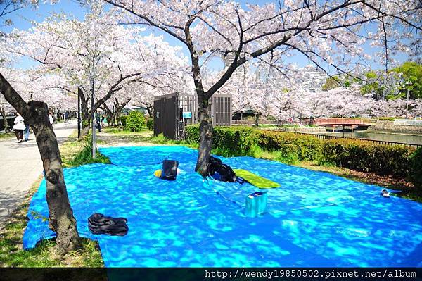 毛馬桜ノ宮公園 (22)