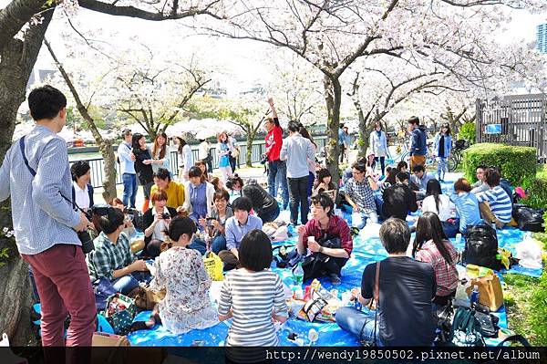 毛馬桜ノ宮公園 (23)