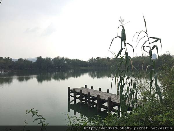 太湖濕地公園