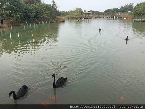 太湖濕地公園