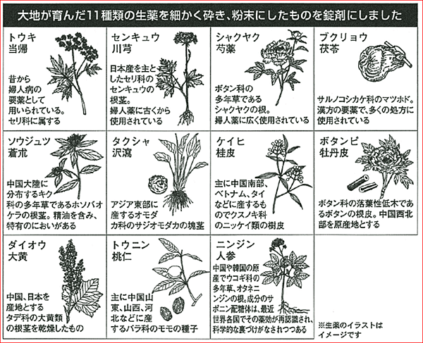 小林命母11種生藥