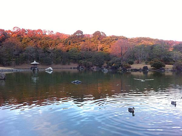 万博記念公園 (18).jpg 万博記念公園 (18).jpg