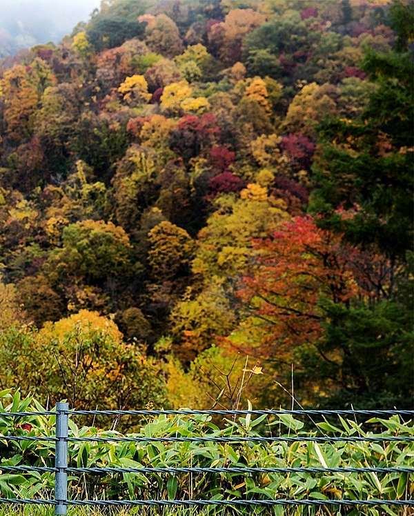北海道紅葉季 秋天的夕張之美 豆子醬遊世界 痞客邦