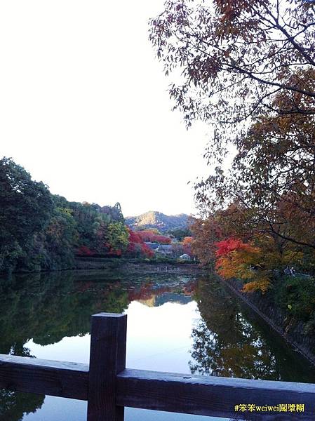 20121125嵐山紅葉 (74).JPG