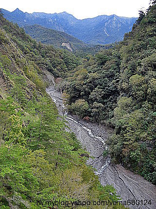 201011奧萬大賞楓去 - 環境篇20