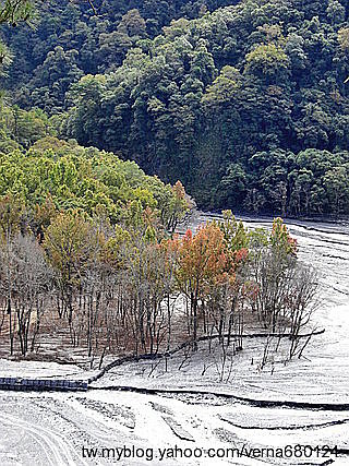 201011奧萬大賞楓去 - 環境篇21