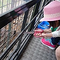 九州自然動物園23