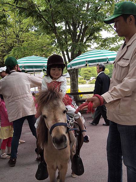 九州自然動物園29