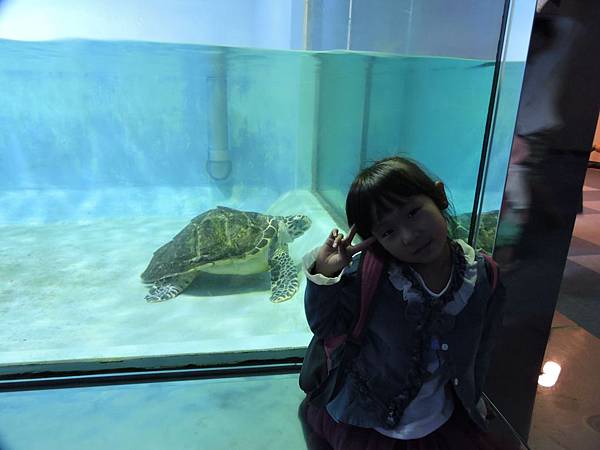 海中之道水族館17