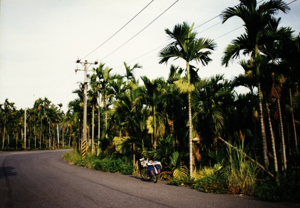 旅行_單車環台21.jpg