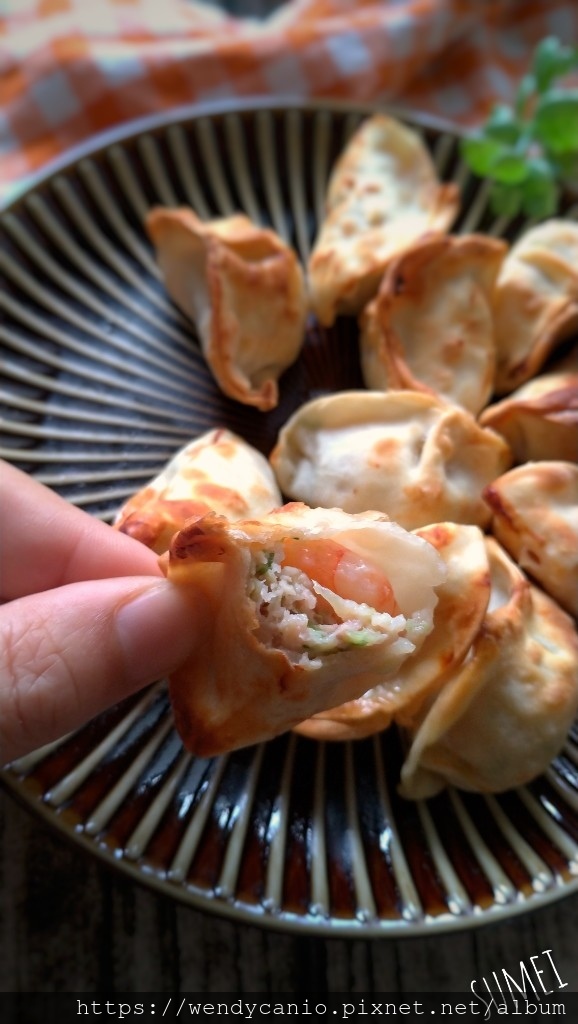 氣炸水餃 掌握小撇步 外皮酥脆不硬皮 影音示範 麻麻的艾寶樂園 痞客邦