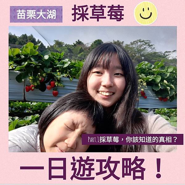 完整攻略 21來趣苗栗大湖採草莓 一日遊 草莓園價格 行程規劃 當地美食 道地伴手禮 Part 1草莓園怎麼選 跟著詩文吃喝玩樂 痞客邦