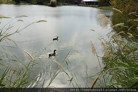 20140106_巴德碑塘公園_8632.JPG