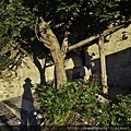 20140903_Amalfi moving to Naples_1915.JPG