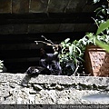 20140904_Naples moving to Orvieto_2126.JPG