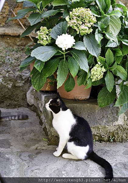 20140904_Naples moving to Orvieto_2132.JPG