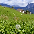 20140913_Bolzano-The Dolomites_3611.JPG