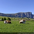 20140914_Bolzano-The Dolomites_3522.JPG