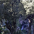 20140926_Rome_4363.JPG