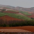 20160329_東穿紅土地_4725.JPG