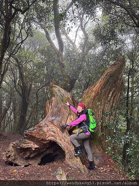 2024-02-26拉拉山-塔曼山-巴福越嶺古道三日