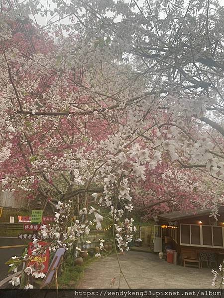 2024-02-26拉拉山-塔曼山-巴福越嶺古道三日