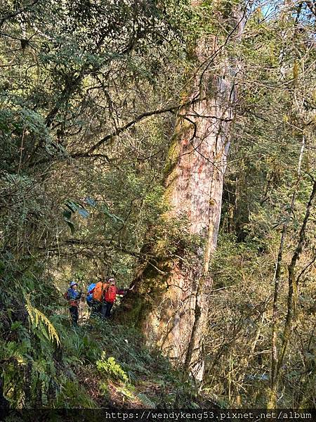 2024-02-26拉拉山-塔曼山-巴福越嶺古道三日