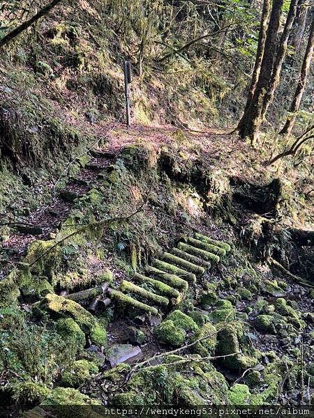 2024-02-26拉拉山-塔曼山-巴福越嶺古道三日