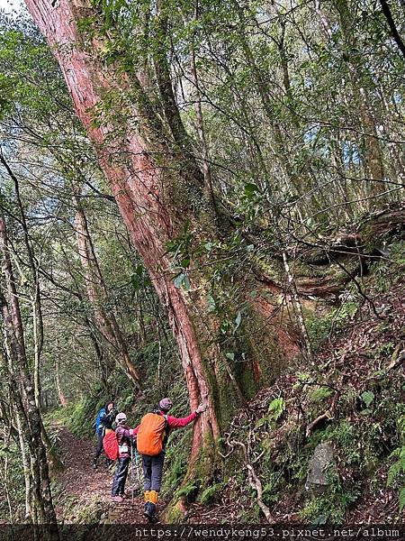 2024-02-26拉拉山-塔曼山-巴福越嶺古道三日