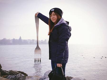 IMG_2655 IMG_2655