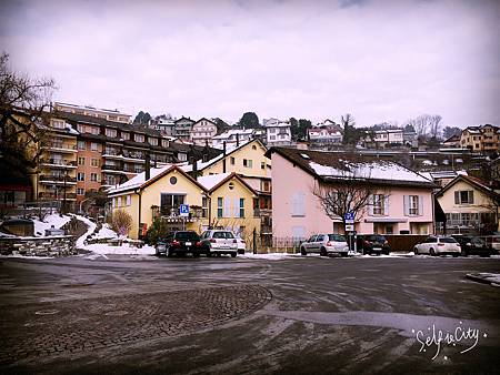 IMG_2627 IMG_2627