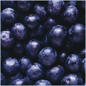 vm_antioxidants_image