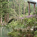 university pond view