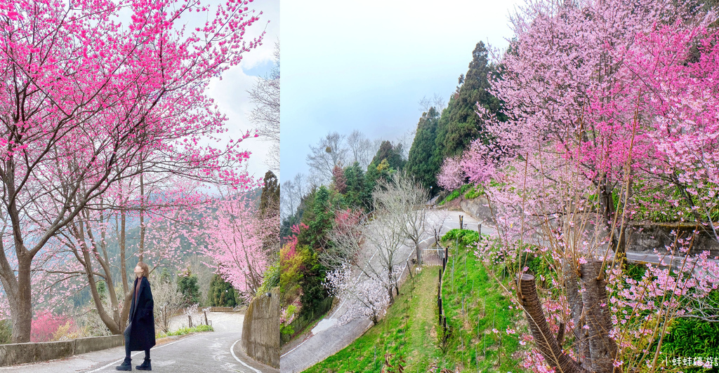 未命名-1.jpg 未命名-1.jpg