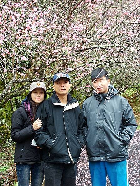 DSCF8331.jpg DSCF8331.jpg