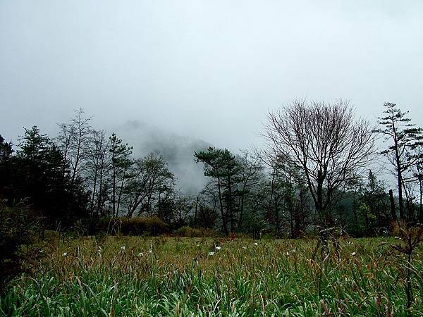 DSCF8411.jpg DSCF8411.jpg