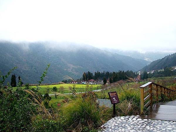DSCF8413.jpg DSCF8413.jpg
