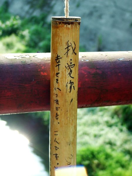 DSCF8585 DSCF8585