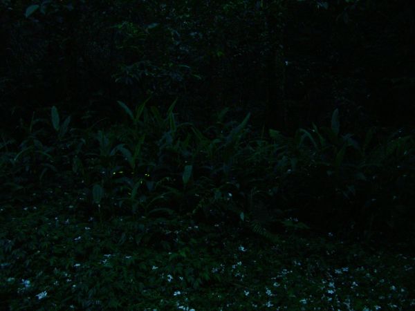 DSCF8626 DSCF8626