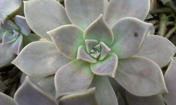 IMAG0028 IMAG0028