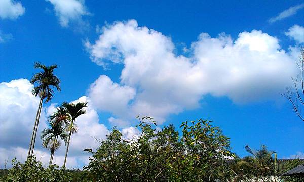 01-房-IMAG1379 01-房-IMAG1379
